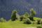 Bild#193(Alv.jpg)