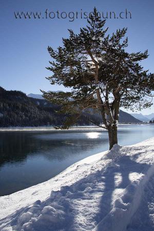 Klick für Originalgröße :Davosersee_Winter.jpg