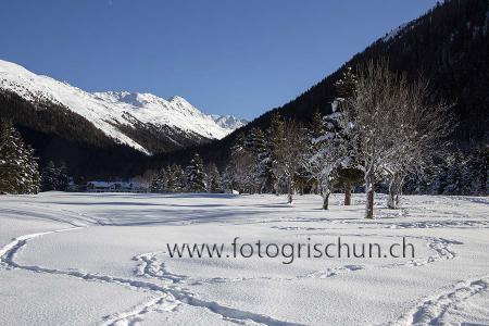 Klick für Originalgröße :Golfplatz_Davos_Winter_2.jpg