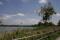 Bild#400(Greifensee.jpg)