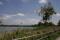 Bild#13(Greifensee.jpg)