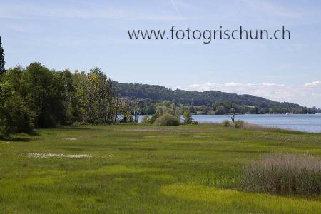 Klick für Originalgröße :Greifensee_2.jpg