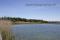Bild#260(Greifensee_Schilf.jpg)