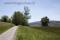 Bild#261(Greifensee_Wiese.jpg)