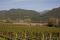 Bild#170(Kalterersee1.jpg)