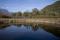 Bild#169(Kalterersee_Biotop.JPG)