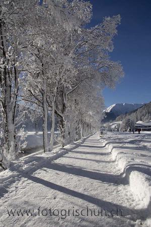 Klick für Originalgröße :Landwasserweg_Winter_2.jpg