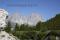 Bild#171(Langkofel_Baeume.jpg)