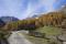 Bild#114(Pfelders_Herbst.jpg)