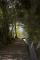 Bild#124(Waal1.jpg)