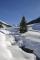 Bild#201(Witi_Winter2.jpg)